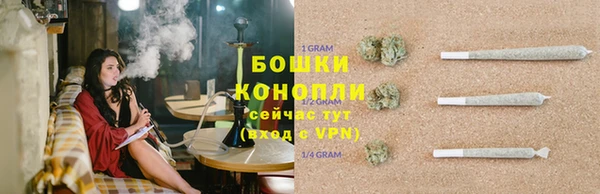амф Арсеньев