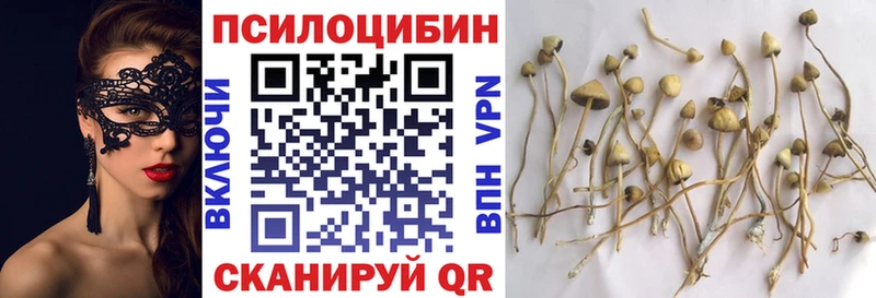 мориарти официальный сайт наркотики Мытищи Псилоцибиновые грибы прущие грибы